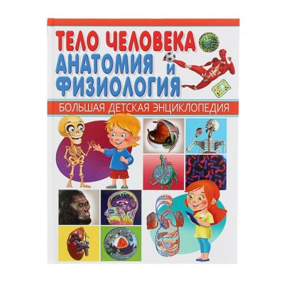 Тело человека. Анатомия и физиология.